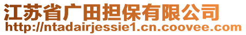 江蘇省廣田擔(dān)保有限公司