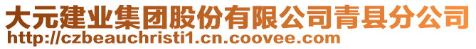 大元建業集團股份有限公司青縣分公司