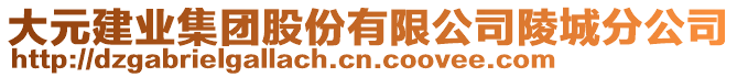 大元建業集團股份有限公司陵城分公司