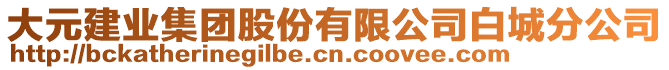 大元建業(yè)集團(tuán)股份有限公司白城分公司