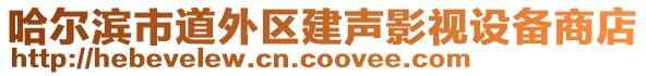 哈爾濱市道外區建聲影視設備商店