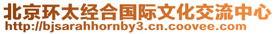 北京環太經合國際文化交流中心