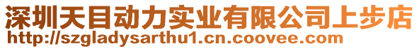 深圳天目動力實業有限公司上步店