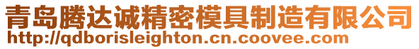 青島騰達(dá)誠精密模具制造有限公司