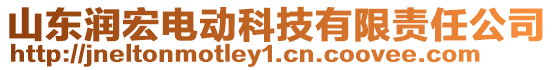 山東潤(rùn)宏電動(dòng)科技有限責(zé)任公司