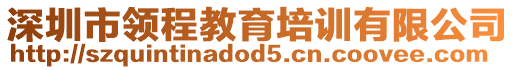 深圳市領(lǐng)程教育培訓(xùn)有限公司