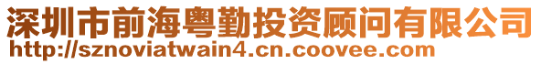 深圳市前?；浨谕顿Y顧問有限公司