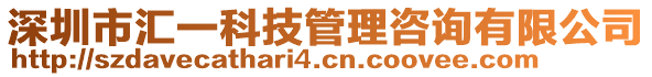 深圳市匯一科技管理咨詢有限公司