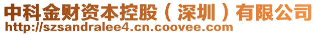 中科金財(cái)資本控股（深圳）有限公司