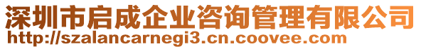 深圳市啟成企業咨詢管理有限公司