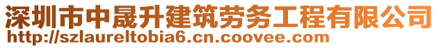 深圳市中晟升建筑勞務(wù)工程有限公司