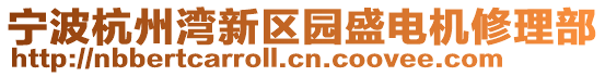 寧波杭州灣新區(qū)園盛電機(jī)修理部