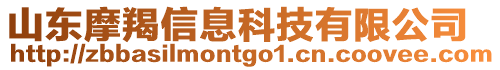 山東摩羯信息科技有限公司