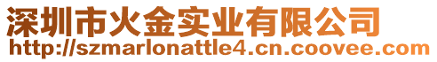 深圳市火金實業(yè)有限公司