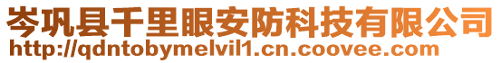 岑鞏縣千里眼安防科技有限公司
