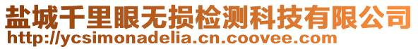 鹽城千里眼無損檢測科技有限公司