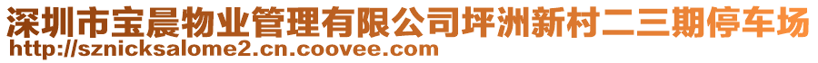 深圳市寶晨物業(yè)管理有限公司坪洲新村二三期停車場