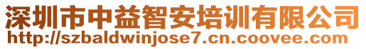 深圳市中益智安培訓(xùn)有限公司