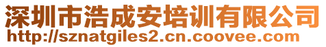 深圳市浩成安培訓(xùn)有限公司