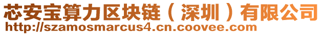 芯安寶算力區(qū)塊鏈（深圳）有限公司