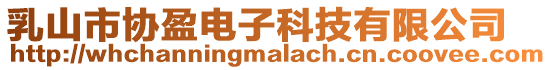 乳山市協(xié)盈電子科技有限公司