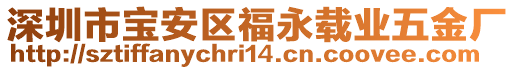 深圳市寶安區(qū)福永載業(yè)五金廠