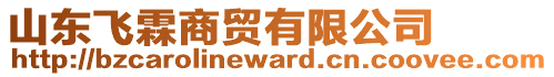 山東飛霖商貿(mào)有限公司