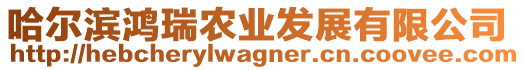 哈爾濱鴻瑞農(nóng)業(yè)發(fā)展有限公司