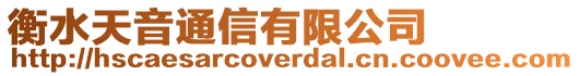 衡水天音通信有限公司