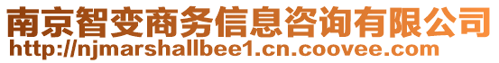 南京智變商務(wù)信息咨詢有限公司