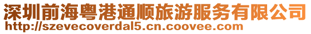 深圳前?；浉弁樎糜畏?wù)有限公司