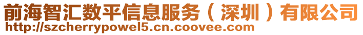 前海智匯數(shù)平信息服務(wù)（深圳）有限公司