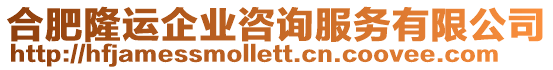 合肥隆運(yùn)企業(yè)咨詢服務(wù)有限公司