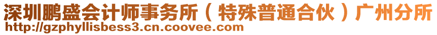 深圳鵬盛會計師事務所(特殊普通合伙)廣州分所