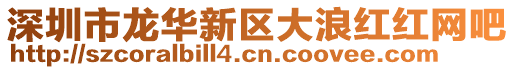 深圳市龍華新區(qū)大浪紅紅網(wǎng)吧
