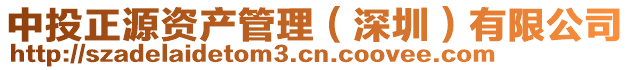 中投正源資產(chǎn)管理(深圳)有限公司