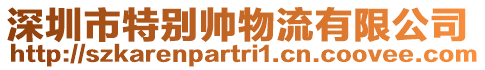 深圳市特別帥物流有限公司