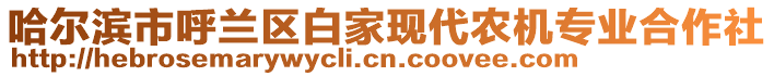 哈爾濱市呼蘭區(qū)白家現(xiàn)代農(nóng)機(jī)專業(yè)合作社