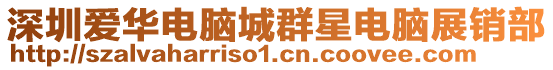 深圳愛華電腦城群星電腦展銷部