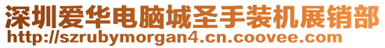 深圳愛華電腦城圣手裝機展銷部