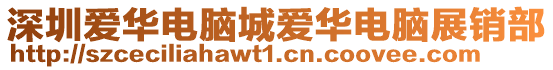 深圳愛華電腦城愛華電腦展銷部