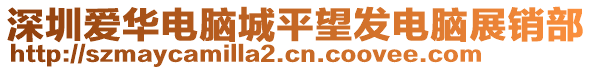 深圳愛華電腦城平望發電腦展銷部