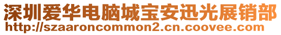 深圳愛華電腦城寶安迅光展銷部