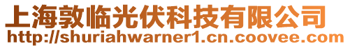 上海敦臨光伏科技有限公司