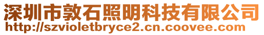 深圳市敦石照明科技有限公司