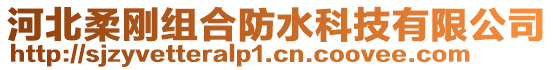 河北柔剛組合防水科技有限公司
