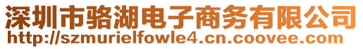 深圳市駱湖電子商務(wù)有限公司