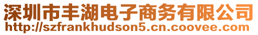深圳市豐湖電子商務有限公司