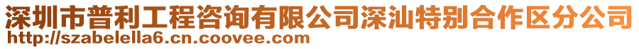 深圳市普利工程咨詢有限公司深汕特別合作區分公司