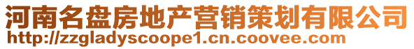 河南名盤房地產營銷策劃有限公司